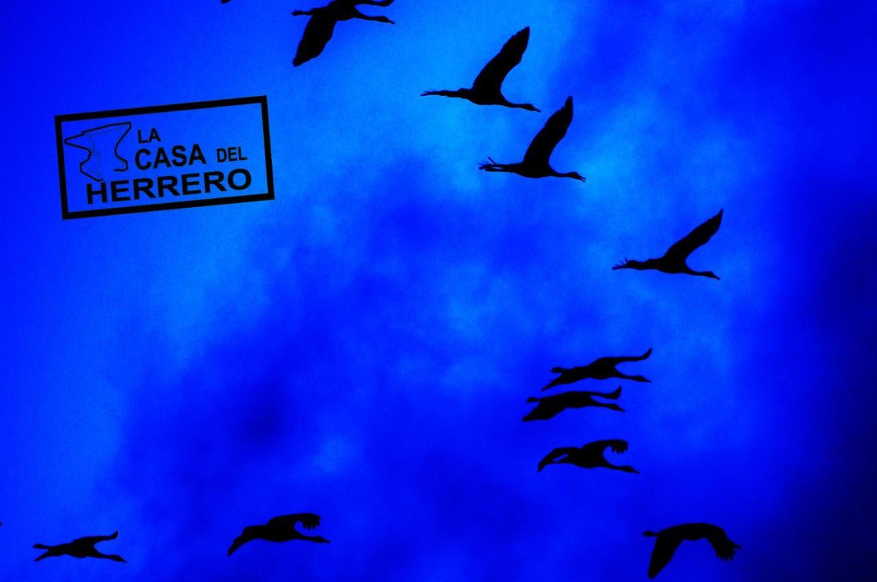 La Casa Del Herrero El Poyo Exteriér fotografie